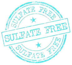 Cleansing Shampoo with Conditioner - Sulfate Free - Moisturize & Nourish 2.0oz - Travel Size